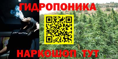 гашик Дубна