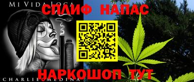индика Гусиноозёрск
