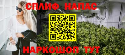 индика Гусиноозёрск