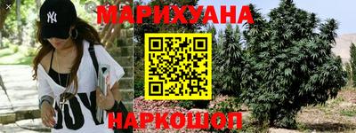 мдпв Гусев