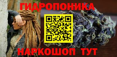 гашик Гусь-Хрустальный