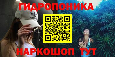 гашик Гусь-Хрустальный