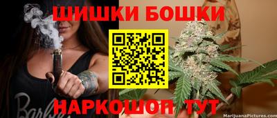 индика Гусиноозёрск
