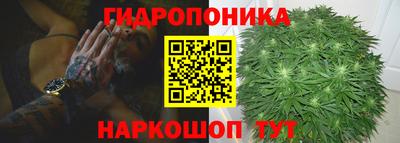 гашик Дубна